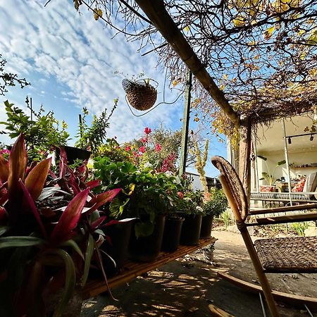 בקתות האס ואטינגר Villa Geva Carmel ภายนอก รูปภาพ