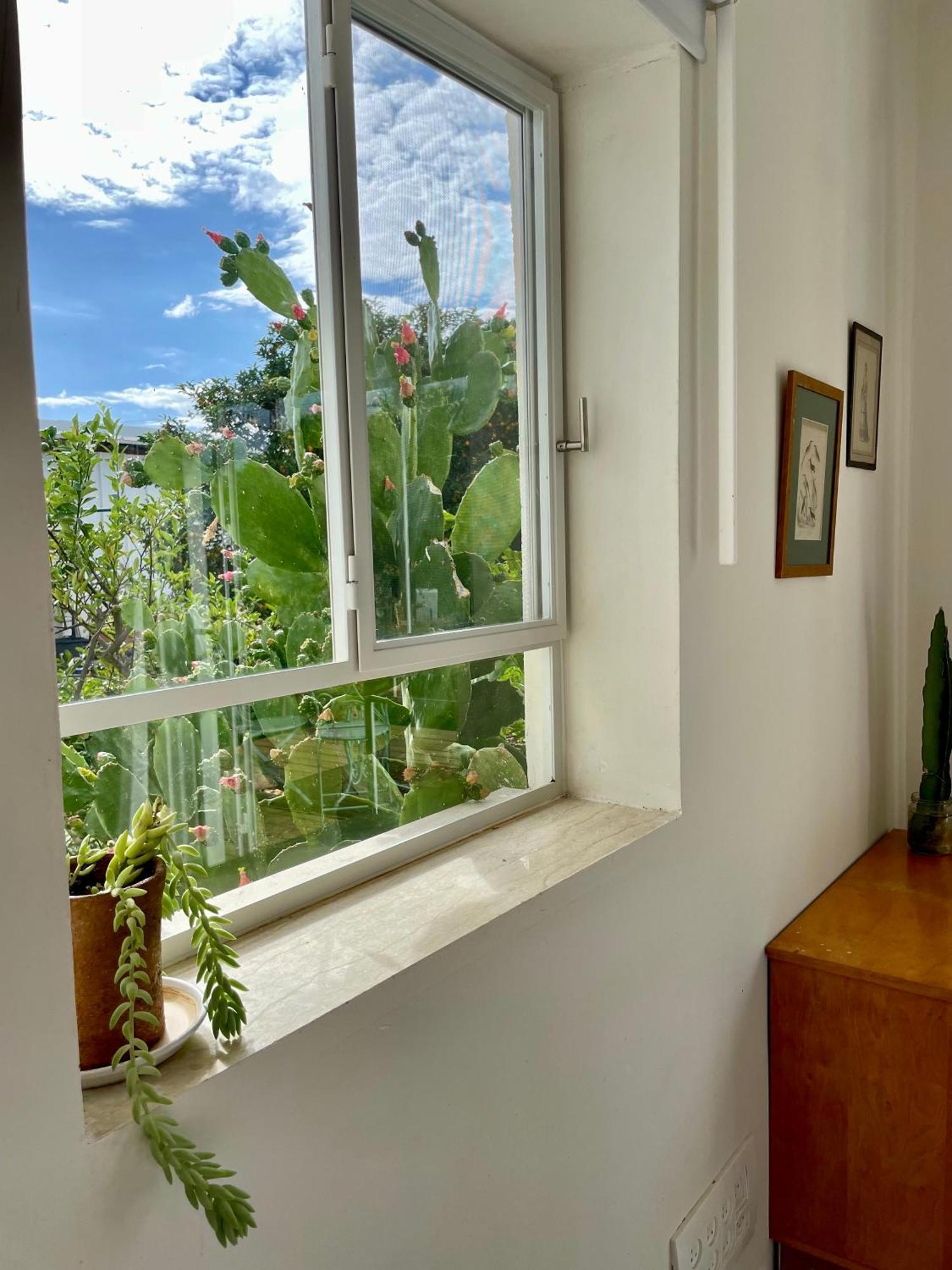 בקתות האס ואטינגר Villa Geva Carmel ภายนอก รูปภาพ